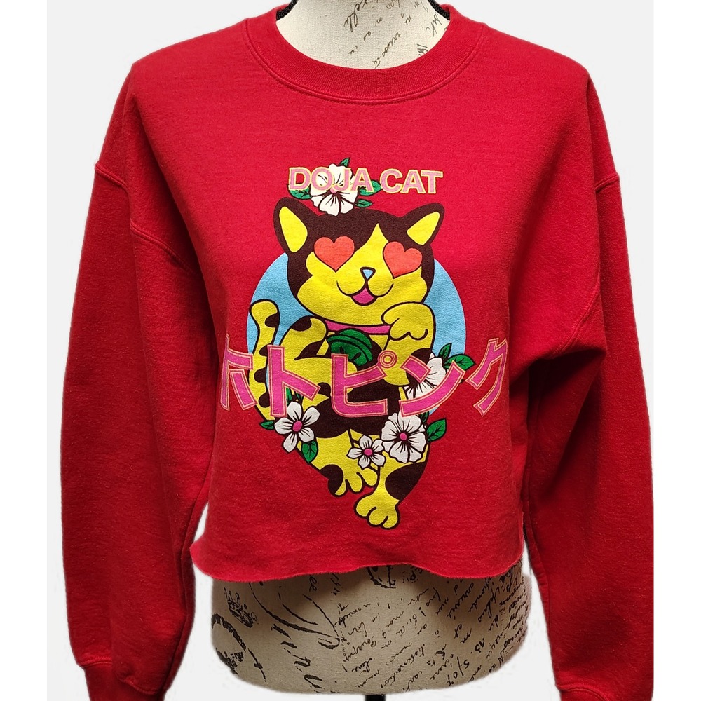 Official Doja Cat "Hot Pink" Album Red Cropped Sweatshirt Medium Oversized Merch - Picture 4 of 4